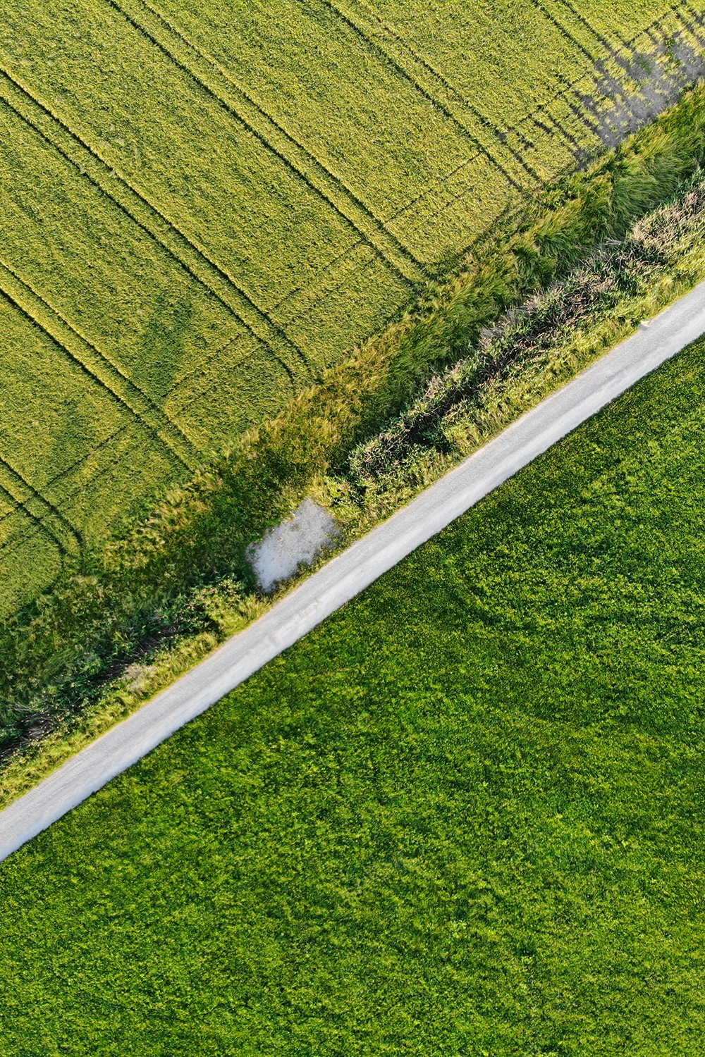 0123 02 Agence immobilière Marrakech